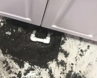 叶城查漏水哪家好